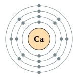 钙的电子层（2, 8, 8, 2）